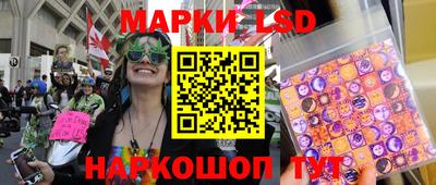 гашик Кандалакша