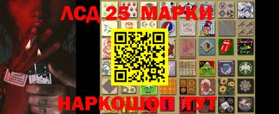 МДПВ Камышлов