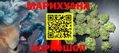 МДПВ Камышлов