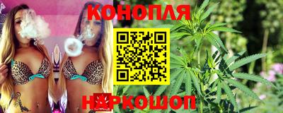 МДПВ Камышлов