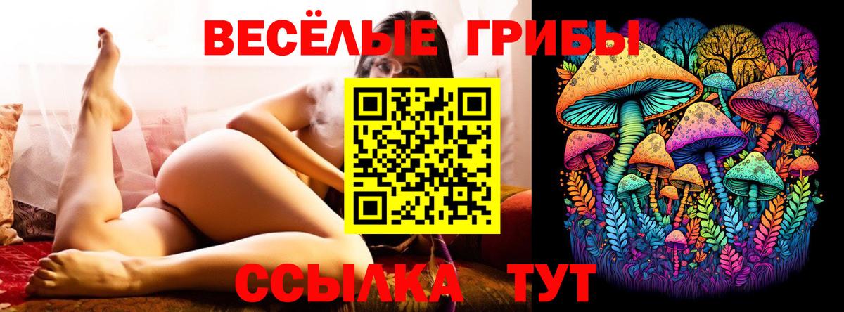 Галлюциногенные грибы Psilocybe  Галлюциногенные грибы мицелий  Йошкар-Ола  Вход с VPN 